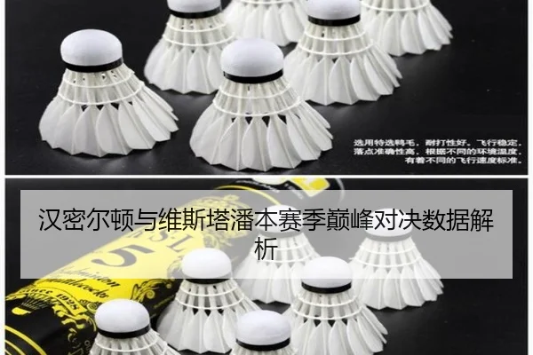 汉密尔顿与维斯塔潘本赛季巅峰对决数据解析